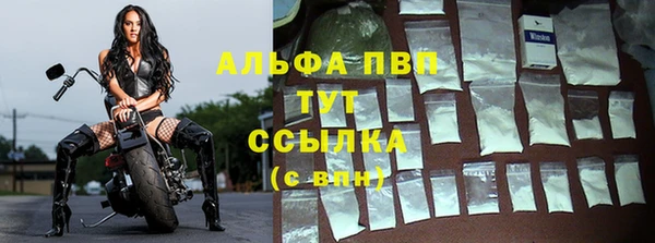 гидра Балахна