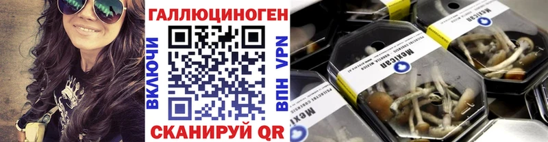 Галлюциногенные грибы Psilocybine cubensis Сертолово